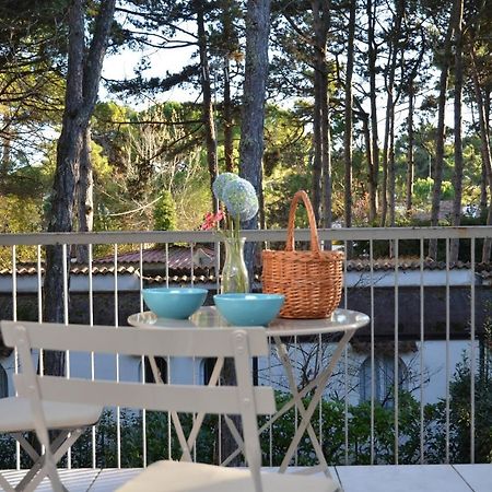 Villa Gloria Lignano Sabbiadoro Eksteriør bilde